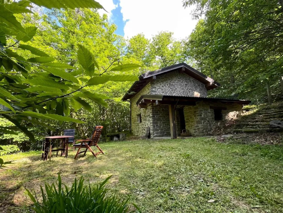 La Casa Nel Bosco Villa Pontolo Holiday home