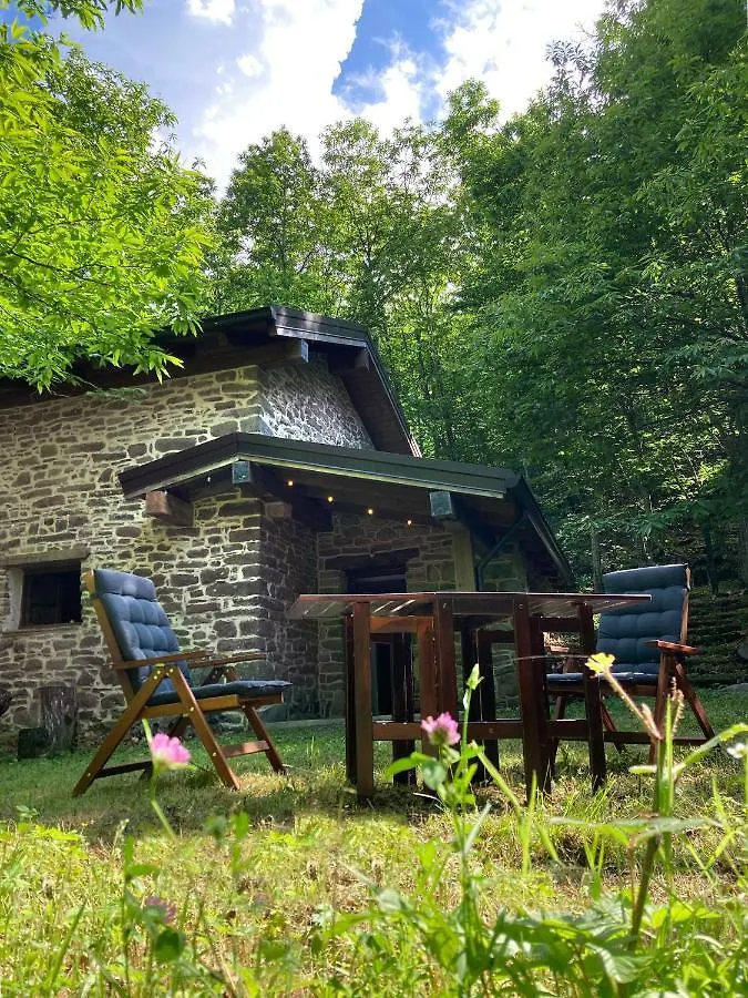 La Casa Nel Bosco Villa Pontolo Holiday home