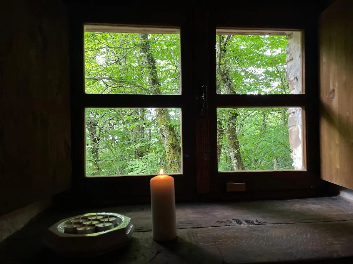 La Casa Nel Bosco Villa Pontolo