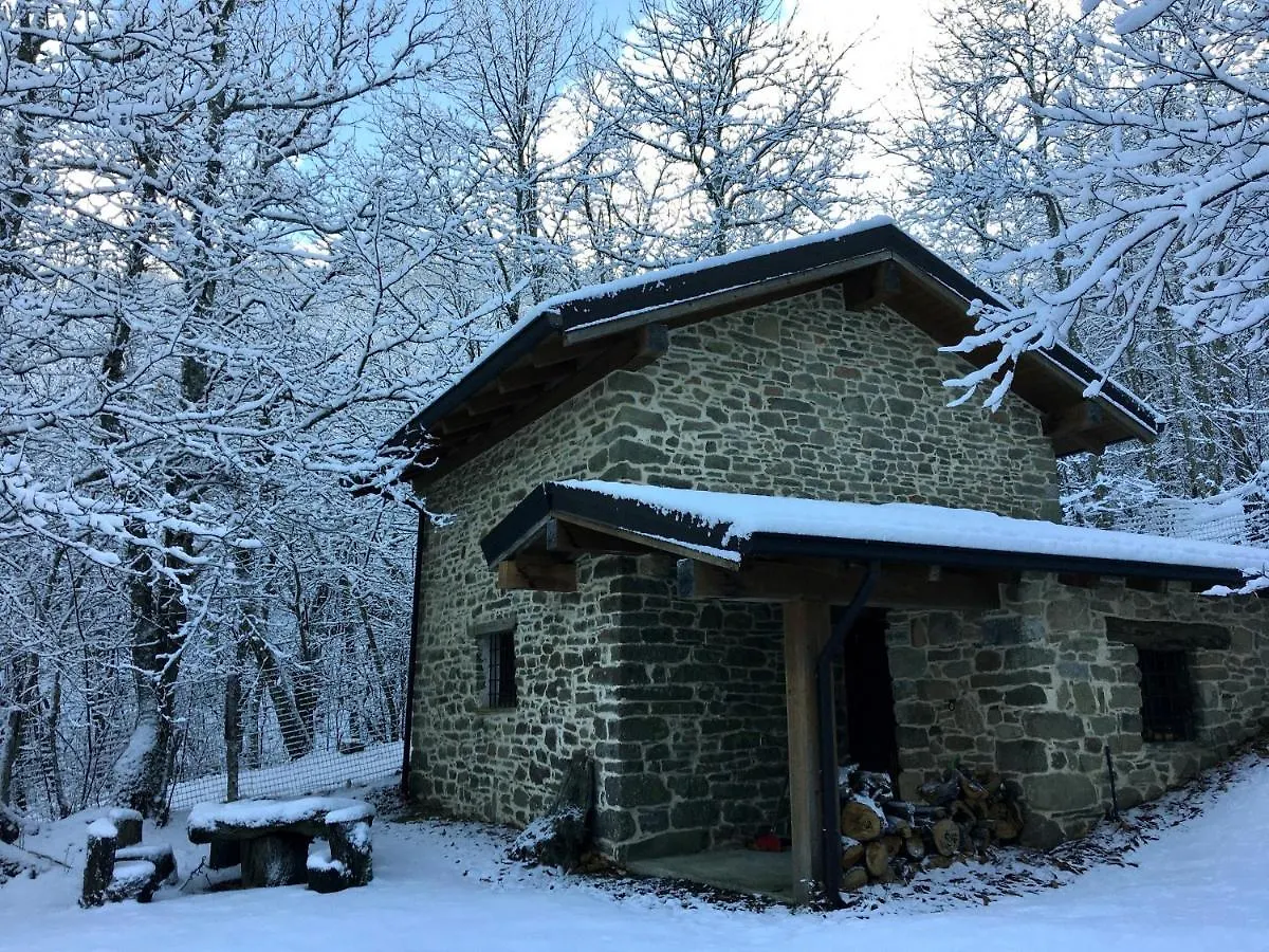 La Casa Nel Bosco Villa Pontolo Italy