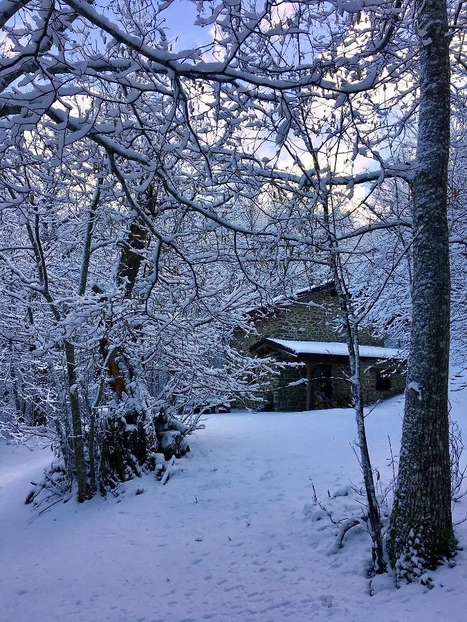 La Casa Nel Bosco Villa Pontolo 0*,  Italy